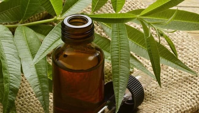 Tea tree oil to treat foot fungus