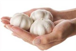 The treatment for fungus garlic