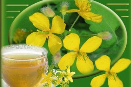 Chelidonium fungus decoction