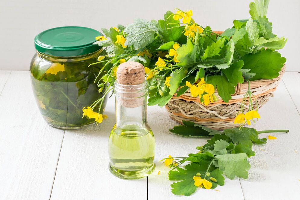 Infusion, oil and freshly picked celandine to treat onychomycosis