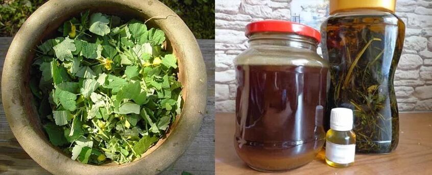 Preparation of therapeutic celandine juice for further use against toenail fungus